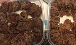 黑梅子最新爆料,揭秘娱乐圈惊人内幕